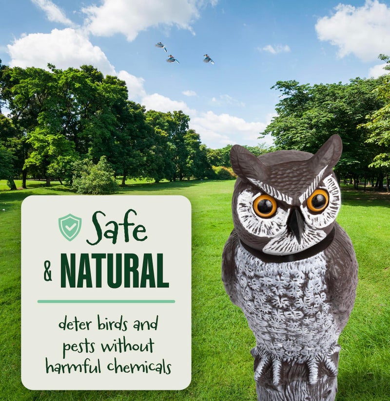 Dalen GARDENEER Dalen Rotating Head Fake Owl Decoy to Scare Birds Away from Gardens, Rooftops, and Patios - Scarecrow Provides Chemical-Free Pest Control - Safe and Humane - 18" 360Âº Rotating Head - Image 4